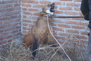 ELLITORAL_58459 |  Gentileza Juan Martín Mastropaolo