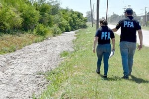 Guillermo Di Salvatore