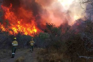 ELLITORAL_335251 |  Gentileza