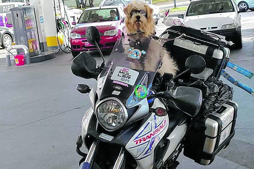 ELLITORAL_244951 |   Recorriendo el sur argentino en moto, Pocho es furor en las redes sociales.