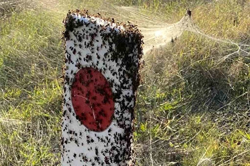 ELLITORAL_384364 | Gentileza