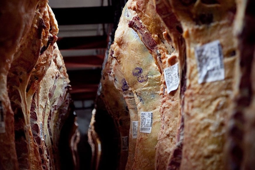 ELLITORAL_383136 | NA zzzznacp2NOTICIAS ARGENTINAS BAIRES, ENERO 31: Esta semana comenzará a
regir el acuerdo que el Gobierno Nacional firmó con los
frigoríficos exportadores para que bajen los precios de algunos
cortes de carne que se venderán a partir de mañana en el
Mercado Central. Foto NA: MINAGRIzzzz
