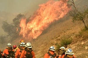 ELLITORAL_229816 |  Internet 11 noviembre 2018, EEUU, Magalia: Bomberos trabajan en la extinción de los incendios forestales en California. La cantante estadounidense Miley Cyrus perdió su casa en los incendios forestales en Califonia, según contó ella misma en su cuenta de Twitter.
(Vinculado al texto de dpa "Miley Cyrus y Gerard Butler pierden sus casas en incendios California" del 12/11/2018) Foto: Gene Blevins/ZUMA Wire/dpa +++ dpa-fotografia +++