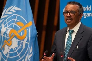 ELLITORAL_316853 |  Archivo