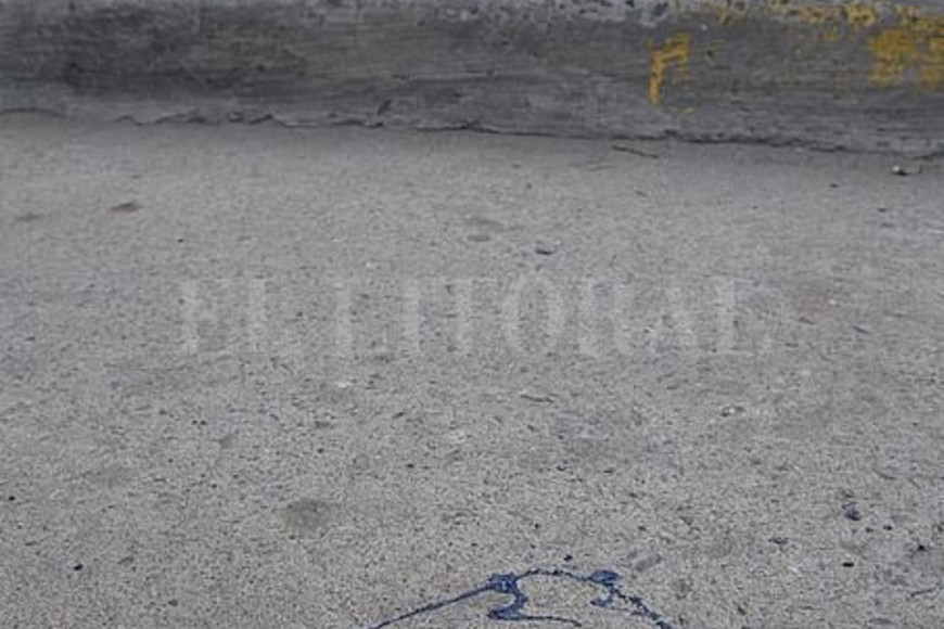 ELLITORAL_399489 |  Luis Cetraro