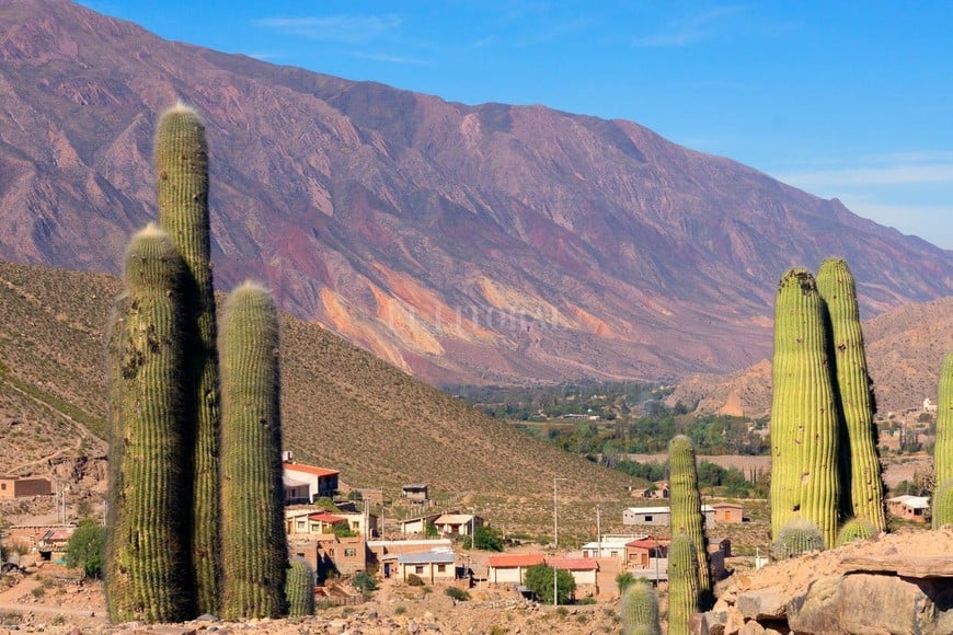 ELLITORAL_417200 |  Gentileza