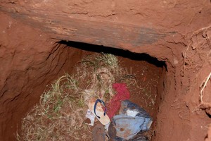 ELLITORAL_281010 |  El Pais