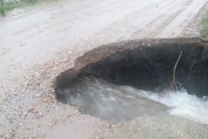 ELLITORAL_370347 |  Gentileza