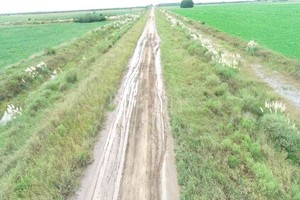 ELLITORAL_365554 |  Gentileza