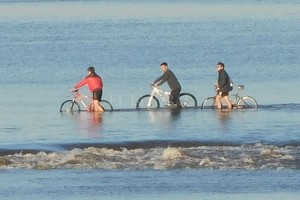 ELLITORAL_394383 |  Gentileza