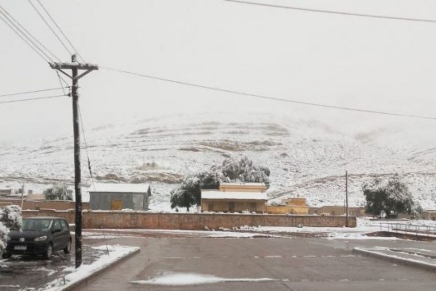 ELLITORAL_351480 |  Gentileza