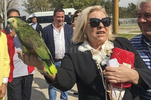 ELLITORAL_260450 |  NA