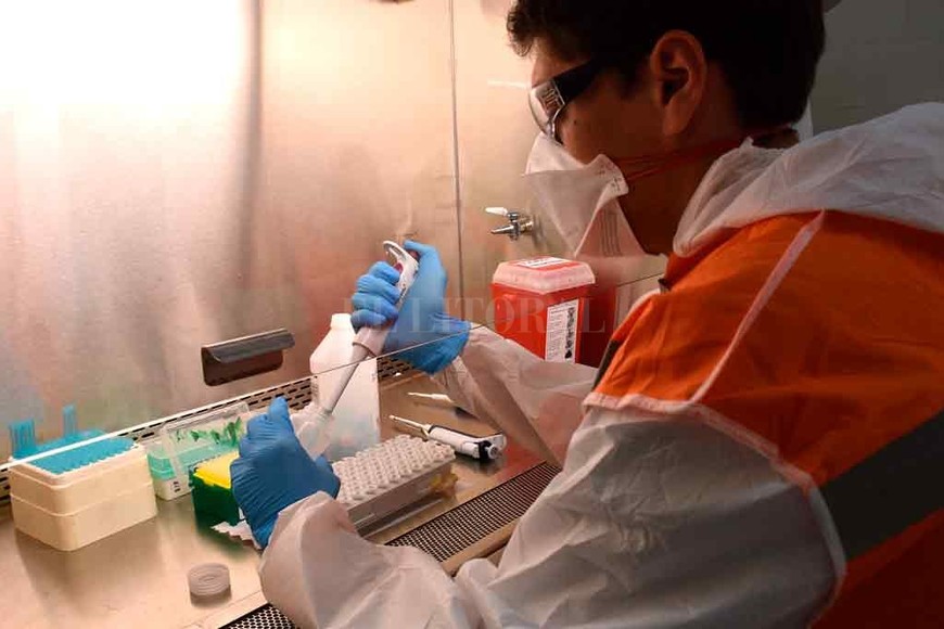 ELLITORAL_307638 |  Flavio Raina. Una de las cabinas de bioseguridad donde se abren los recipientes que transportan las muestras y se inicia la tarea de análisis.
