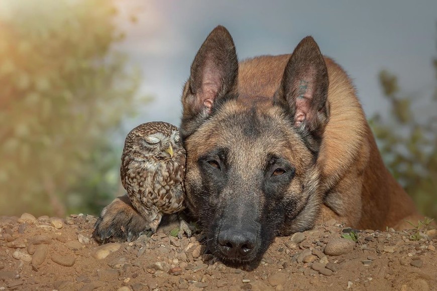 ELLITORAL_266678 |  Instagram tanja_brandt