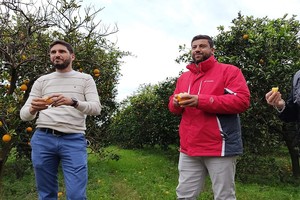 ELLITORAL_390503 |  Gentileza