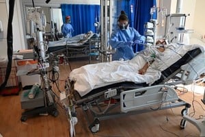 ELLITORAL_349414 |  Gentileza