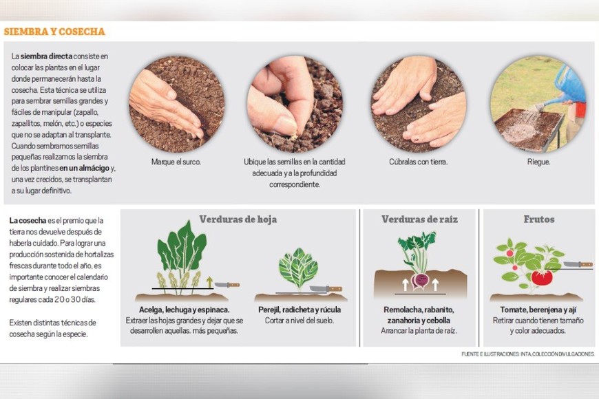 ELLITORAL_317304 |  Mauricio Garín