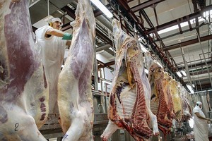 ELLITORAL_398680 |  Archivo El Litoral zzzznacp2
NOTICIAS ARGENTINAS
BAIRES, MAYO 7: (ARCHIVO)  Mientras las exportaciones de carne vacuna subieron 23,3% interanual en marzo Ãºltimo y alcanzaron un nuevo rÃ©cord, el consumo interno cayÃ³ 9,5%, segÃºn datos difundidos hoy por la CÃ¡mara de la Industria y Comercio de las Carnes (Ciccra).  FOTO NAzzzz