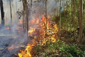 ELLITORAL_380392 |  Gentileza Imagen ilustrativa