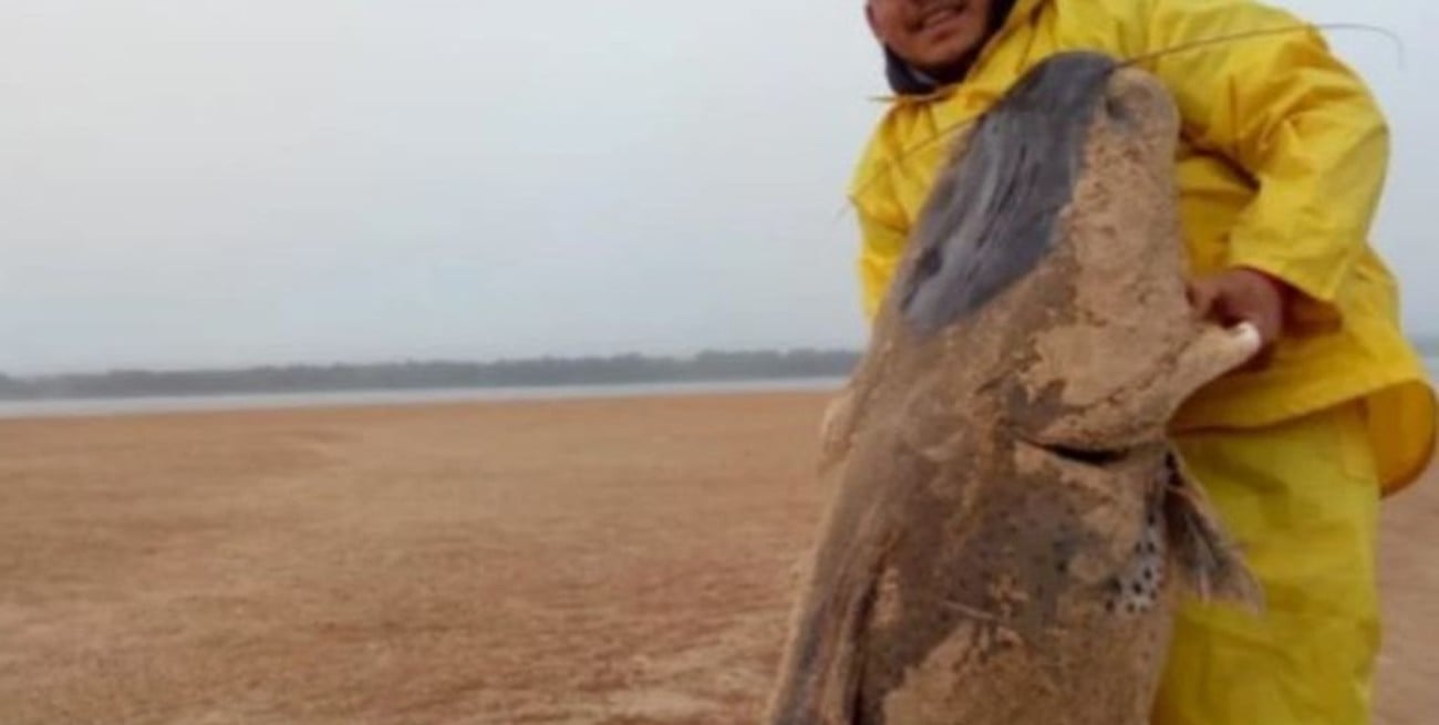 Polémica por la captura de un enorme surubí en Corrientes