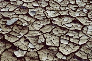 ELLITORAL_272662 |  Gentileza