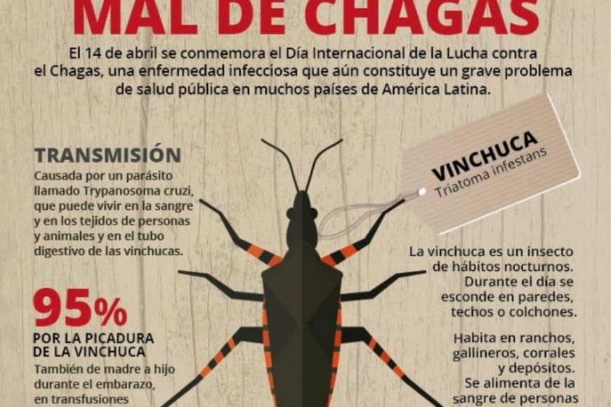 ELLITORAL_244110 |  Télam