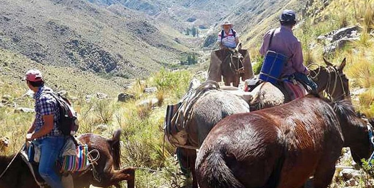 Capilla del Monte: operativo con perros y mulas para bajar el cadáver