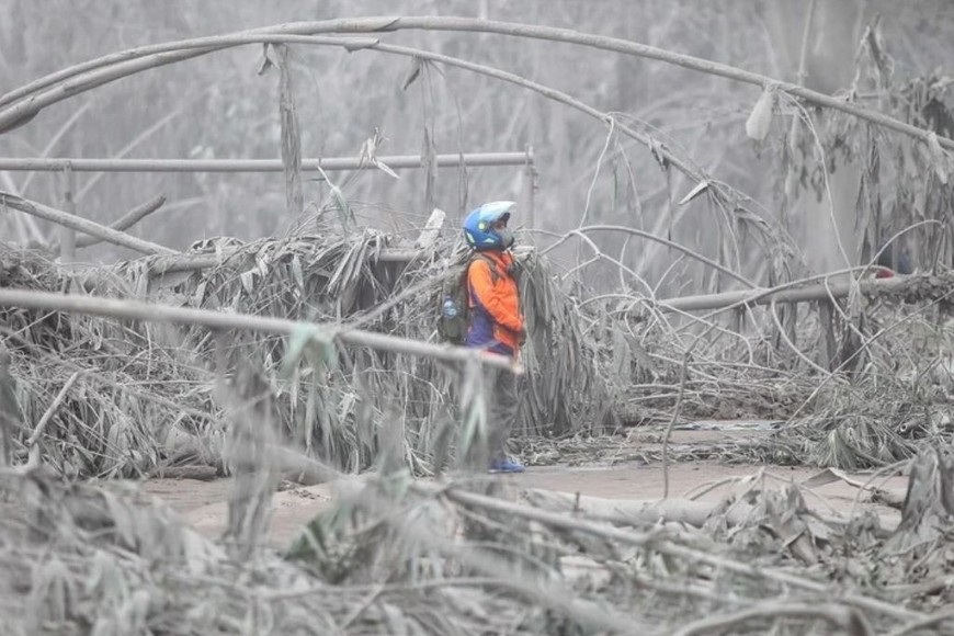 ELLITORAL_422471 |  Gentileza D.R