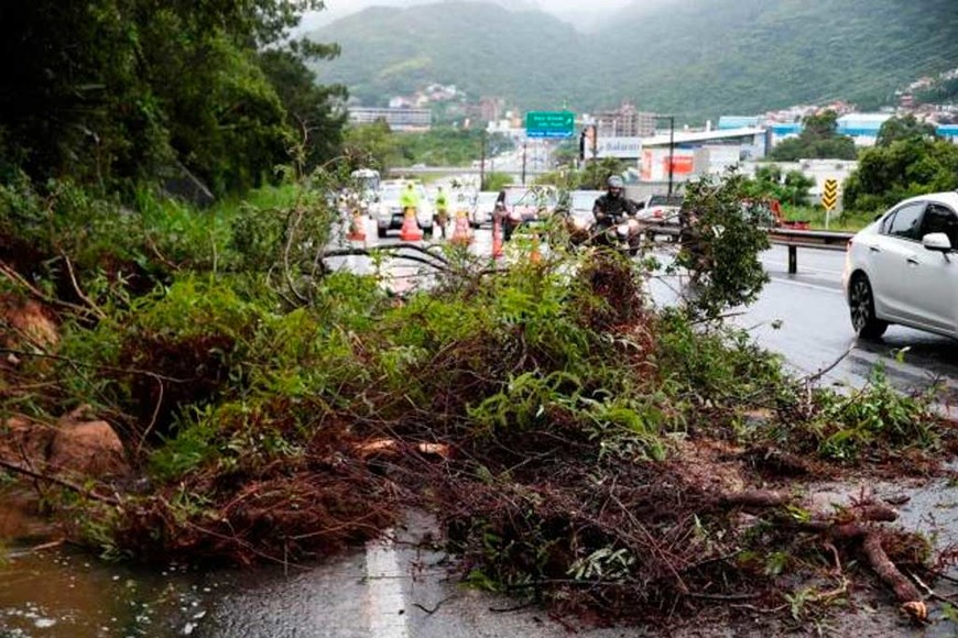 ELLITORAL_200578 |  Diario Catarinense Hubo desprendimientos árboles y vegetación a la vera de una de las rutas internas, que conecta las playas de Florianópolis