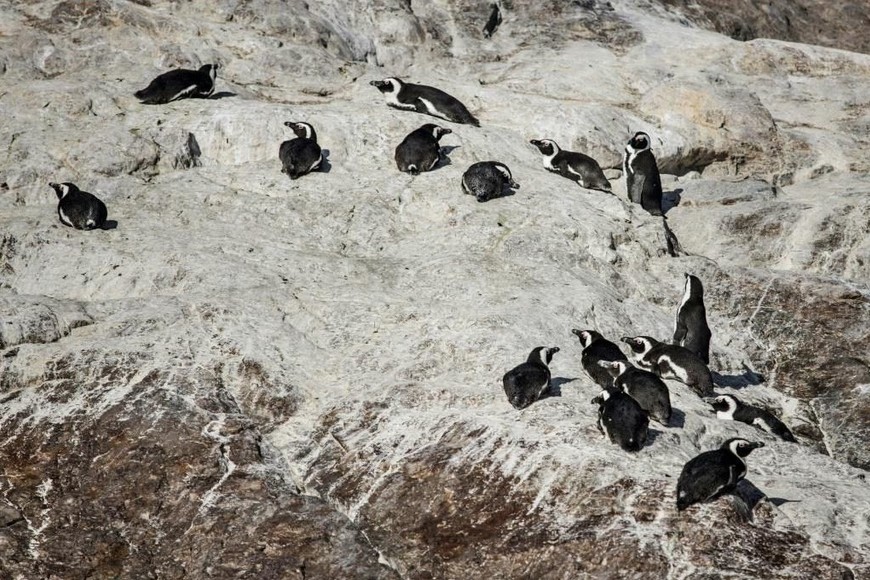 ELLITORAL_405311 | Gentileza