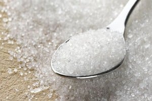 ELLITORAL_191320 |  BBC