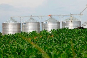 ELLITORAL_273757 |  Internet