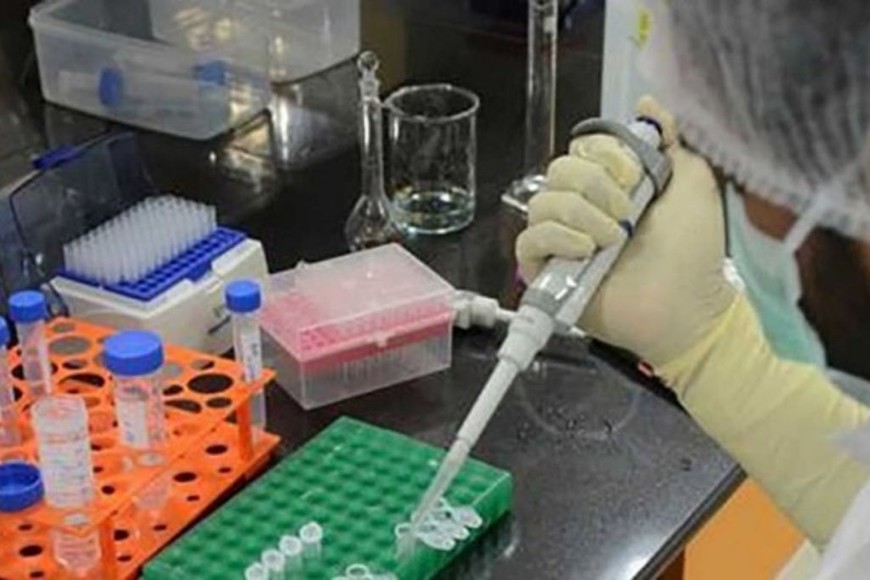 ELLITORAL_415320 |  Gentileza