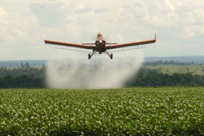 ELLITORAL_284310 |  Gentileza