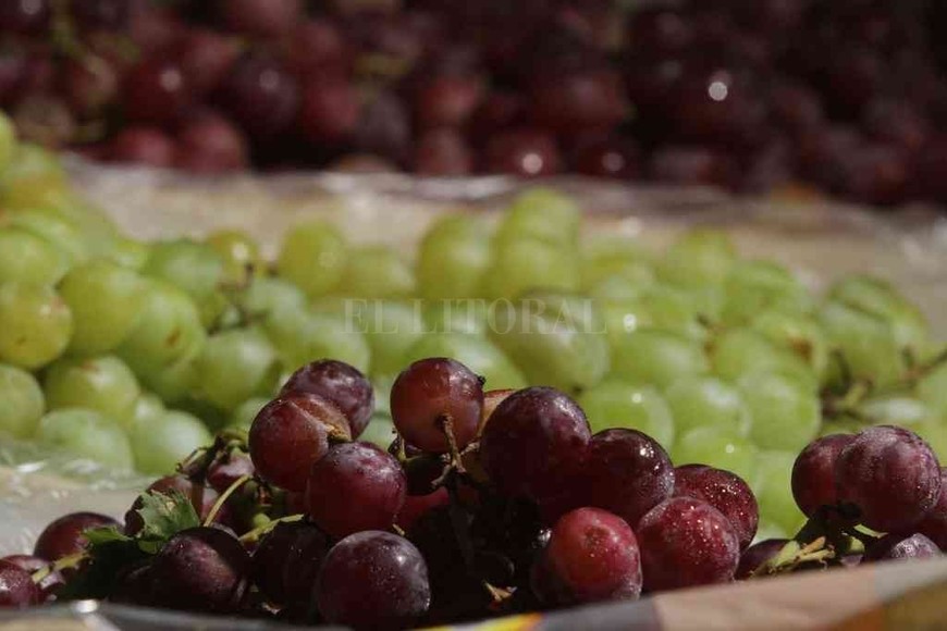 ELLITORAL_281527 | El Litoral