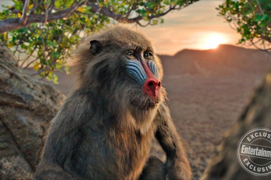 ELLITORAL_245320 | Entertainment THE LION KING
Rafiki (voiced by John Kani)