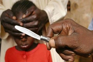 ELLITORAL_434623 |  Imagen Ilustrativa D.R