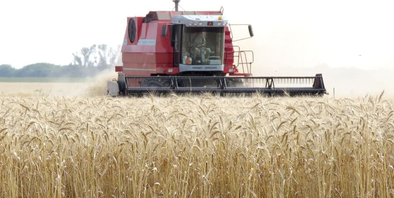 La cosecha de trigo finalizó con un récord de 19,5 millones de toneladas