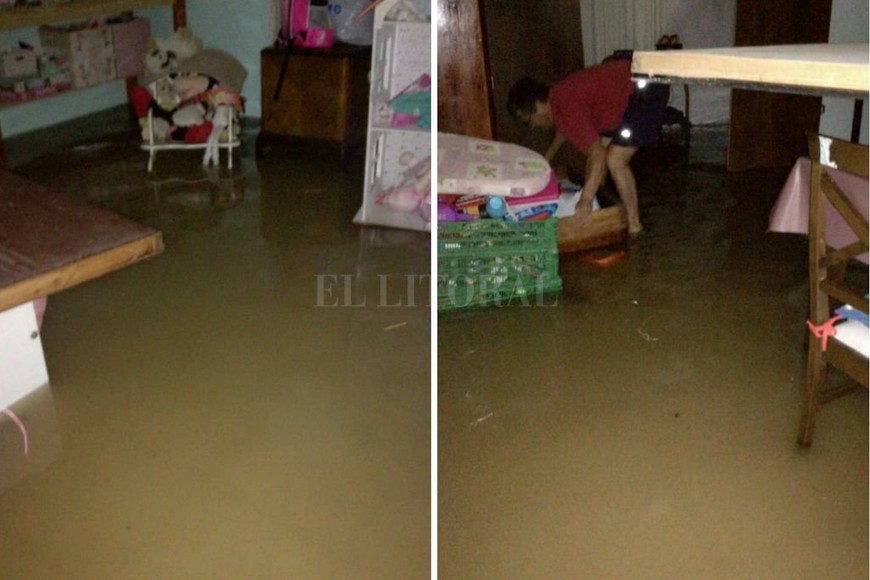 ELLITORAL_246211 |  Gentileza