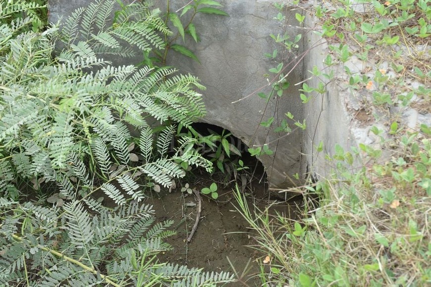 ELLITORAL_281619 |  Flavio Raina Tapados. Los desagües están obstruidos con arena y yuyos altos.