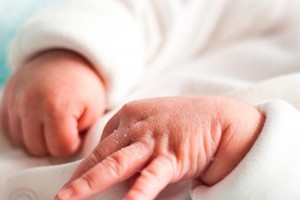 ELLITORAL_406110 |  Gentileza