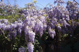 ELLITORAL_406121 |  Archivo