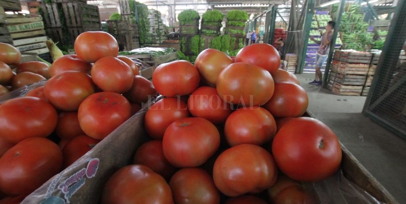 Agroquimicos en frutas y verduras: comienzan controles y puede haber severas multas para puesteros