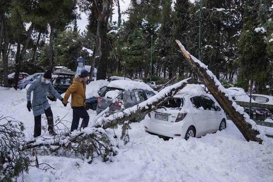 ELLITORAL_432814 |  Twitter D.R