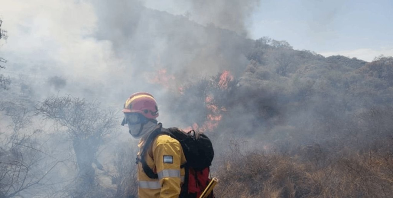 Se registran incendios forestales en cinco provincias