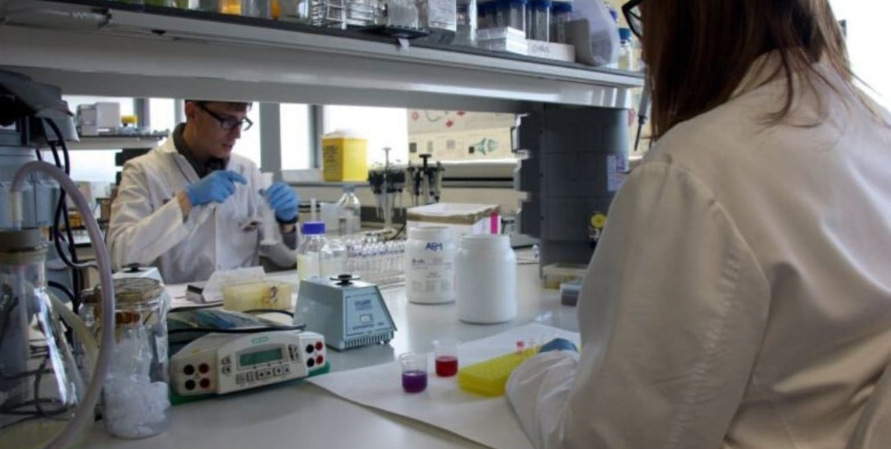 Un innovador test de coronavirus podrá diagnosticar a unas mil personas por día en el Reino Unido