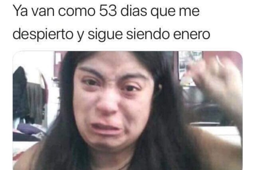 ELLITORAL_282853 |  Redes Sociales