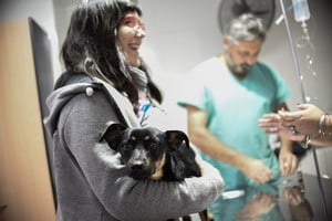 ELLITORAL_244431 |  Prensa Municipalidad de Santa Fe