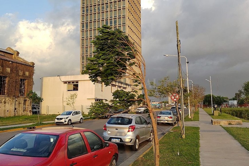 ELLITORAL_410720 |  El Litoral