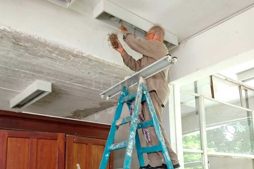 ELLITORAL_282677 |  Gentileza Se hacen trabajos en paredes, techo y luminarias